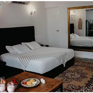 https://elixir-homes-tulum.tulum-hotels.net