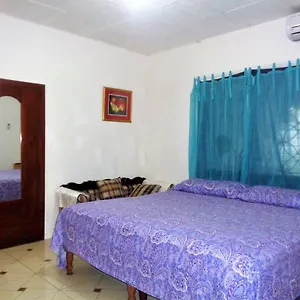 https://yard-style.greaterantilleshotels.net